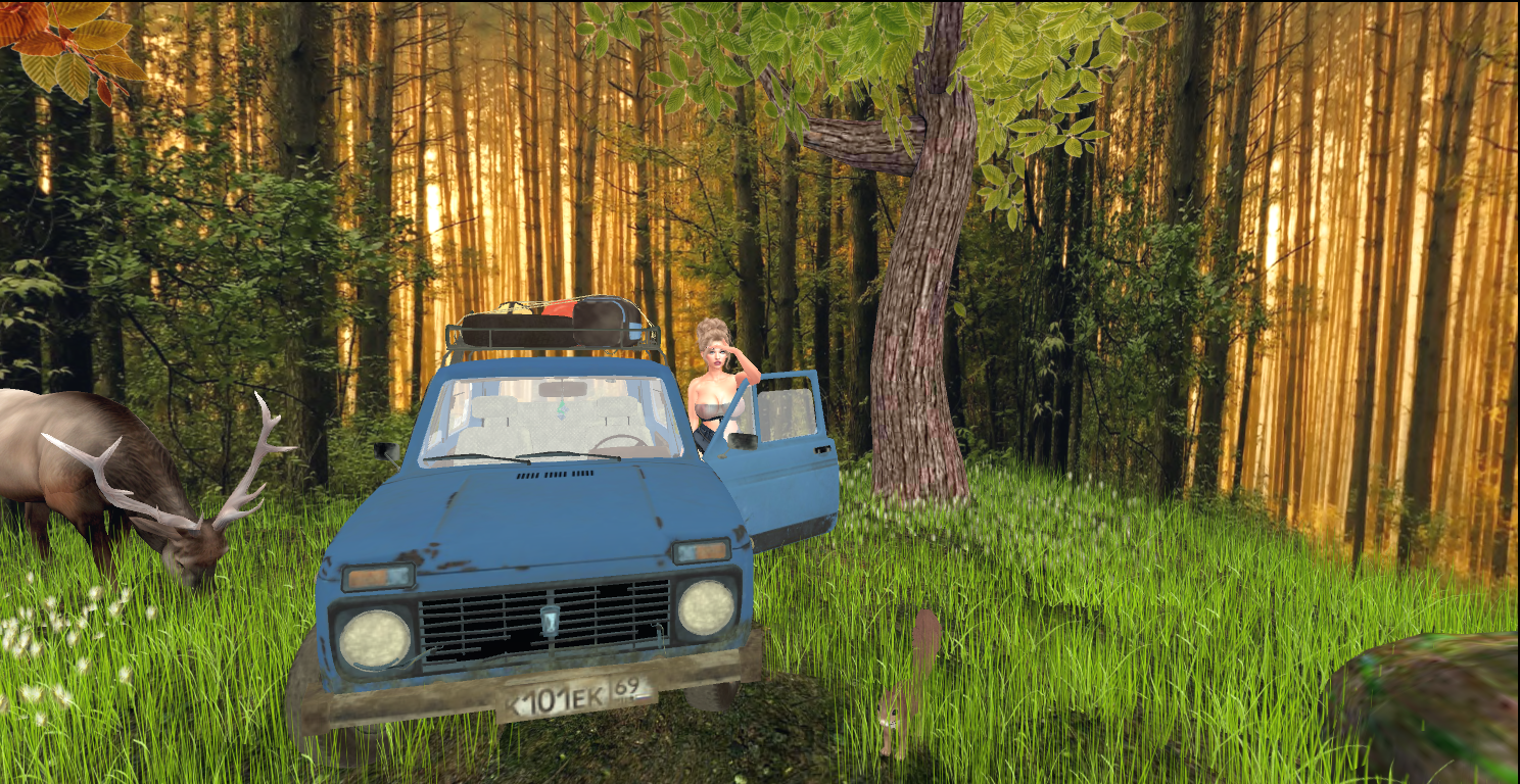 Original 6315d7af22db1d17e31c7124