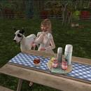 Thumb 5d5bea85289dd26ef6000001