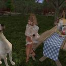 Thumb 5d5bee4573ed173b5b000001