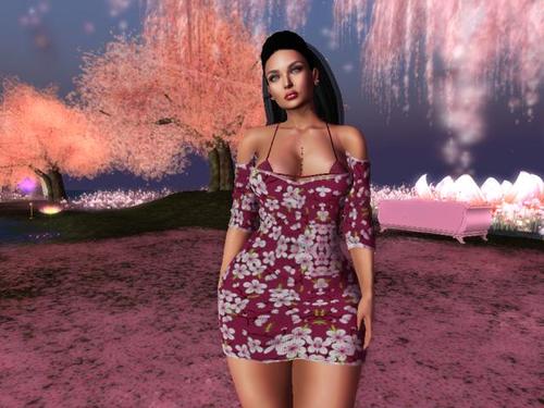 Web 5b7540b3d9859c2d12000001