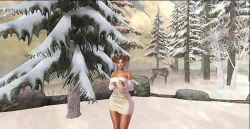 Web 5e043a3ad9859c66fdcfdfce