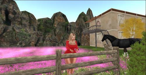 Web 5e734034289dd213b439b0b8