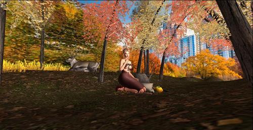 Web 6228592ed4afc345014a46f3