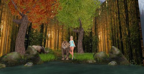 Web 6246b7654cc9c93dfa675141