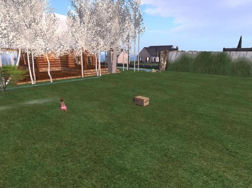 Web 5c3a109073ed1729c3000001