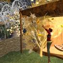 Thumb 5c1d6d45289dd25c83000001