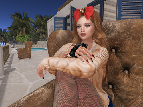 Web 6583c0c2dee259541132df75