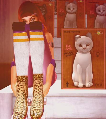 Web 5b7ae68973ed17401b000001