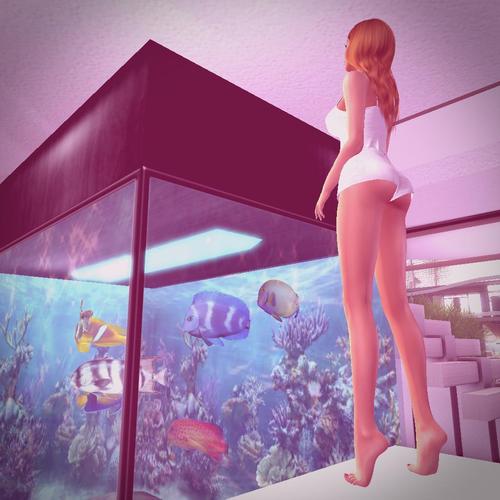 Web 5ba908fdd774f819e6000001