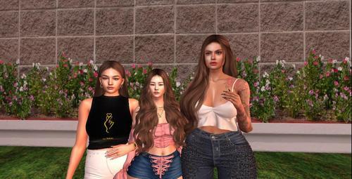 Web 6240631298ed956c94895231