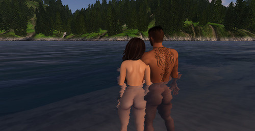 Web 663c40b67443a97da4c89a82