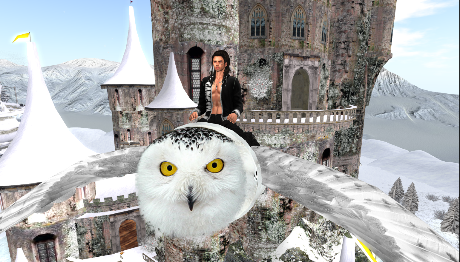 Original 5bbccc9cd774f812ed000001