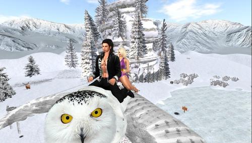 Web 5bbcd7afd9859c5749000001