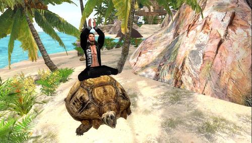 Web 5bbce090289dd23721000001