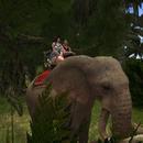 Thumb 5f1e4af3d9859c04bcc29abb