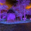 Thumb 5ddc4a5c73ed1727d5e6aadf