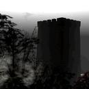 Thumb 5ddc4e1dd774f8430c3c9a62