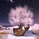 Thumb 5df40a1c73ed1706d9905d61