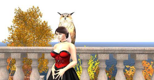 Web 5ddee7bad774f824c5ceb2f2