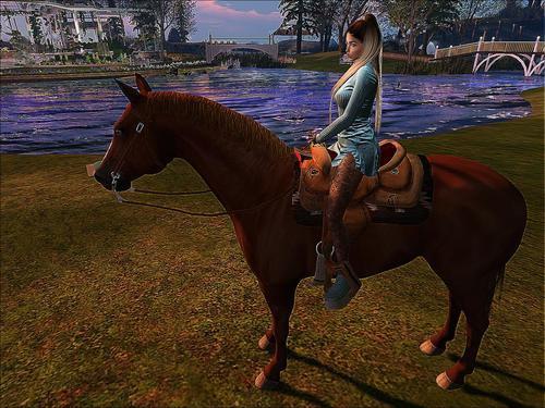 Web 5ea1f3a1d9859c5362f81892