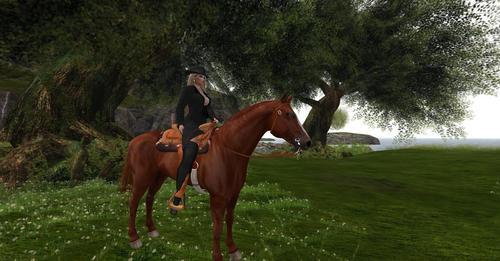 Web 605d2bdbbdc7e26cb35d6395