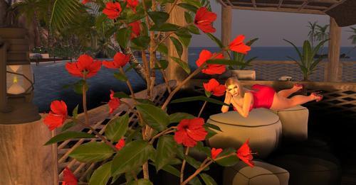 Web 6154fa59d260183f87803929