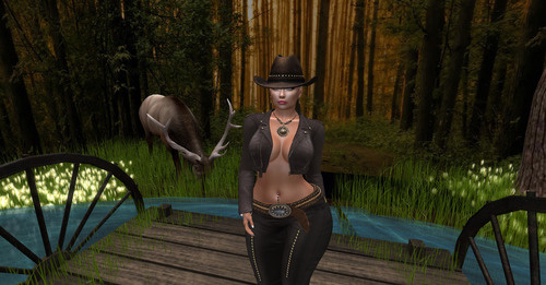 Web 638c2de0292a4e67fb9959af