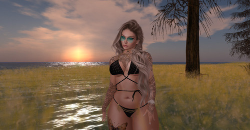 Web 64c6cb331370850d86d74e7a