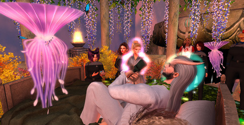 Web 6782c0921b25f03331d0c0a5