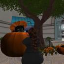 Thumb 5f80ef0fd9859c5265ecb27a