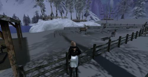 Web 5c0f394773ed172d66000001