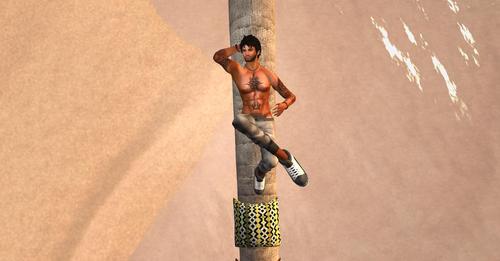 Web 5c6eeb65d774f84d55000001