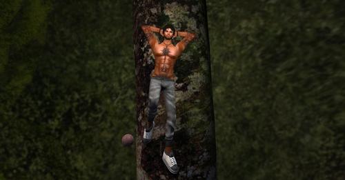 Web 5cb833fad9859c7ec5000001