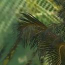 Thumb 5baea72973ed1744b5000001