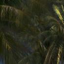 Thumb 5baea7f9289dd203fe000001