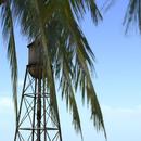 Thumb 5bafacab289dd26708000001