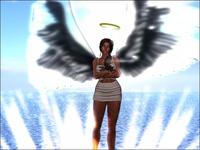 Small 5cec5943289dd219de000001