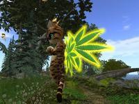 Small 62a055464f455345ccf2f2ee