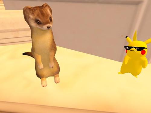 Web 5ca30335d774f80c80000001