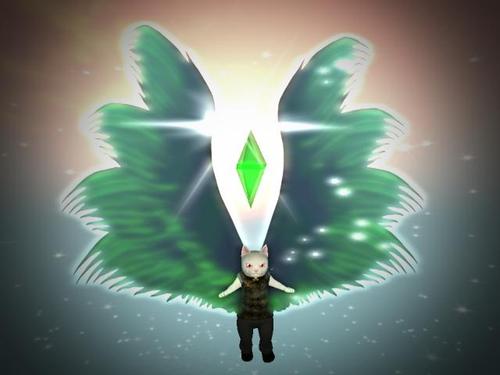 Web 5cec4df7289dd26fe4000001