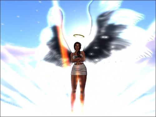 Web 5cec58edd9859c5874000001