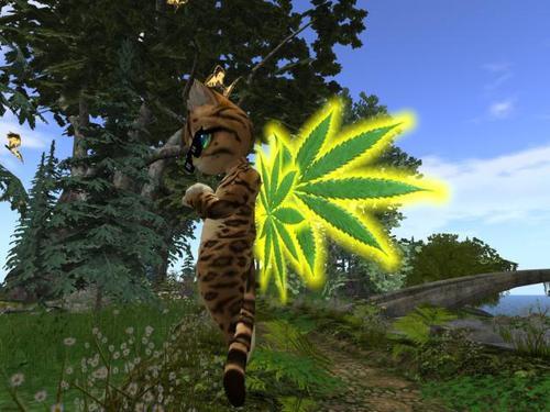 Web 62a055464f455345ccf2f2ee