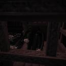 Thumb 5c57bae5d9859c4cec000001