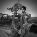 Thumb 5c907ba4d9859c3ba8000001