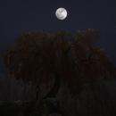 Thumb 5d97a5b973ed17683c000001