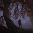 Thumb 5d97aada73ed170a62000001