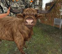 Small 5fcd33fd7933606696882bd8