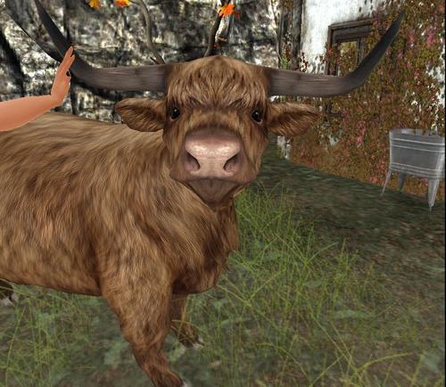 Web 5fcd33fd7933606696882bd8