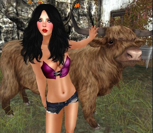 Web 5fcd34452b5f8c28500fcc6d