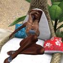 Thumb 6134e6c21f186a29d3dcef80